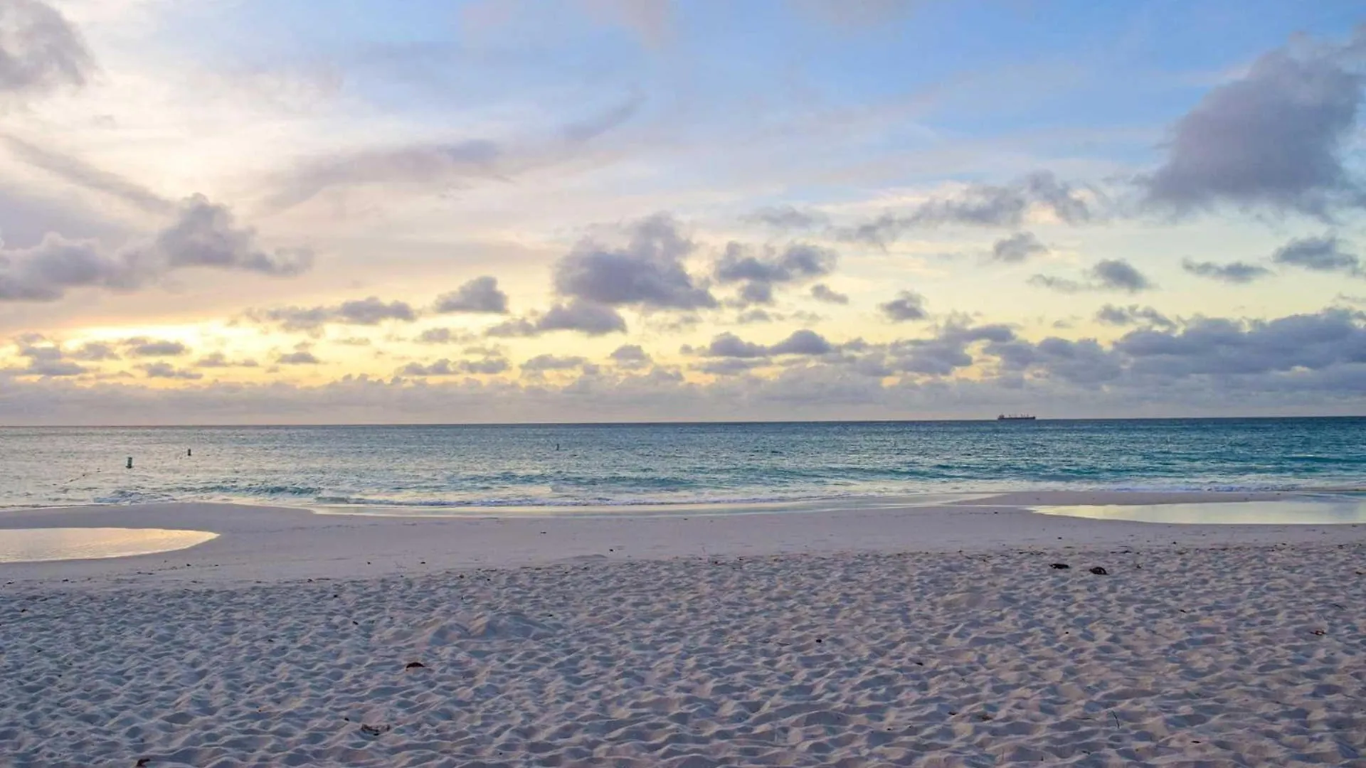 Vakantiehuis Eagle Beach Palm Beach