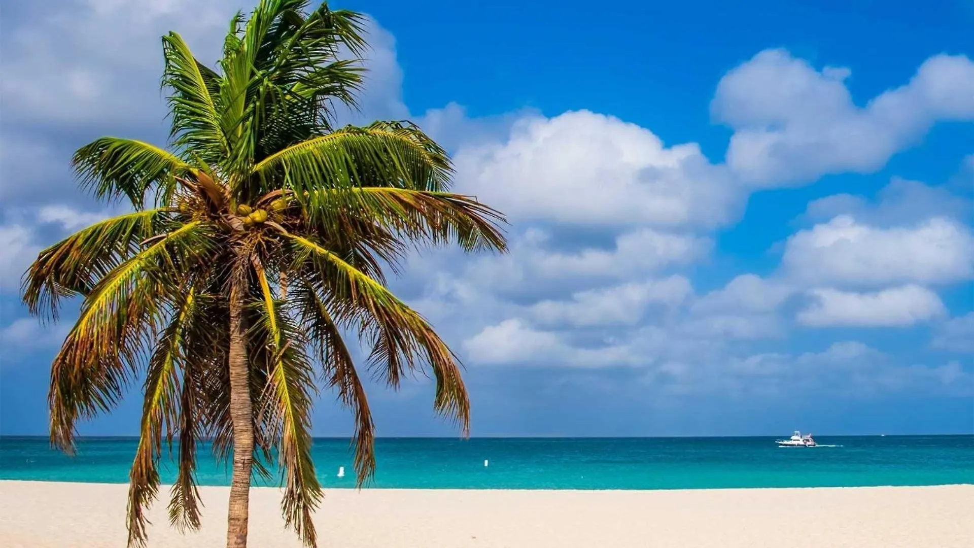 Vakantiehuis Eagle Beach Palm Beach Aruba