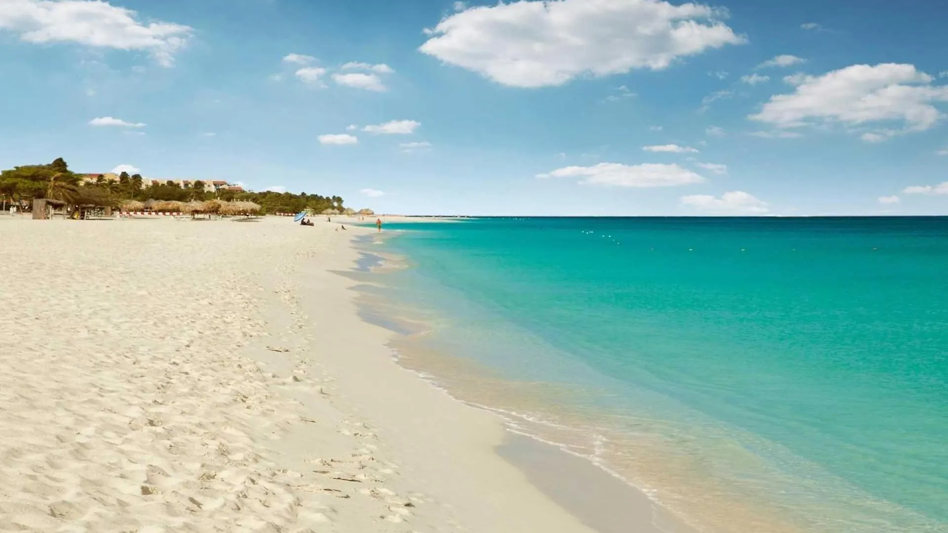 Eagle Beach Palm Beach