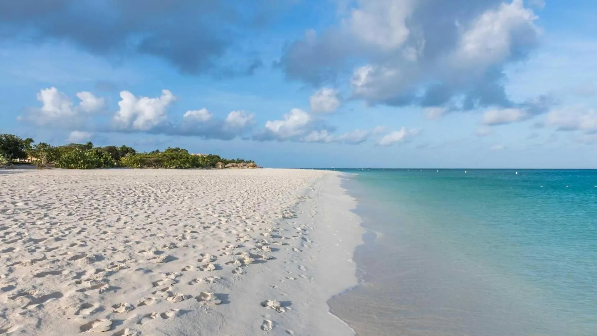 Eagle Beach Palm Beach Aruba