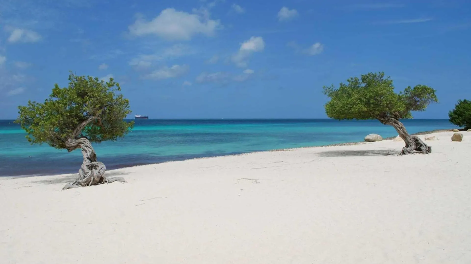 Eagle Beach Palm Beach Aruba